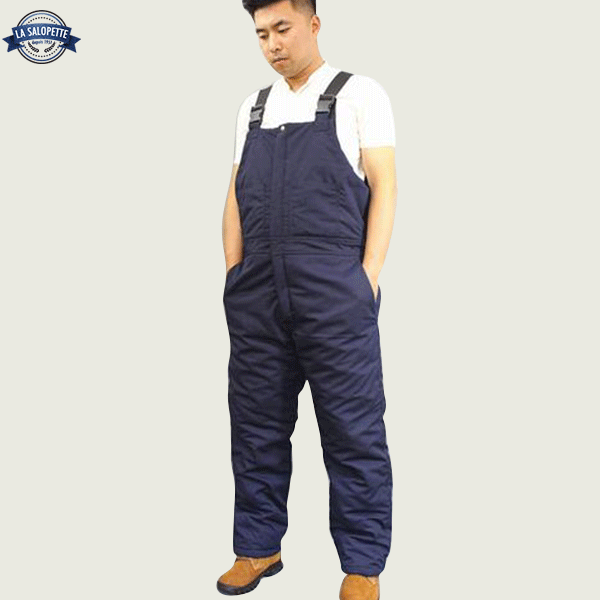 Arbeitslatzhose Delta Plus Division